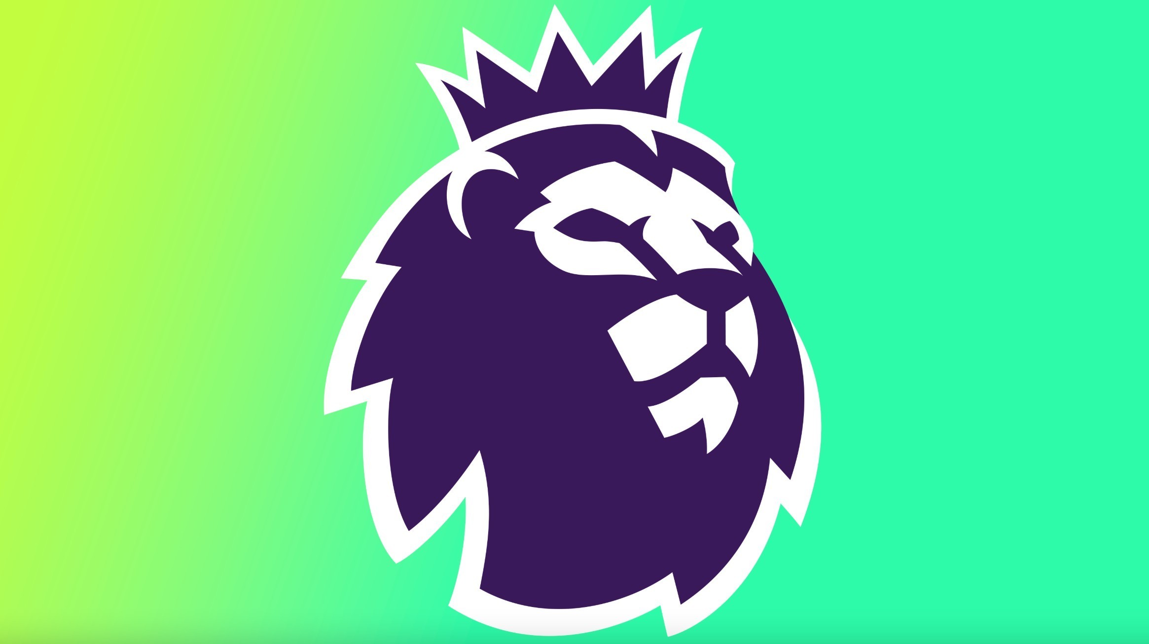 由山东省体 由山东省体